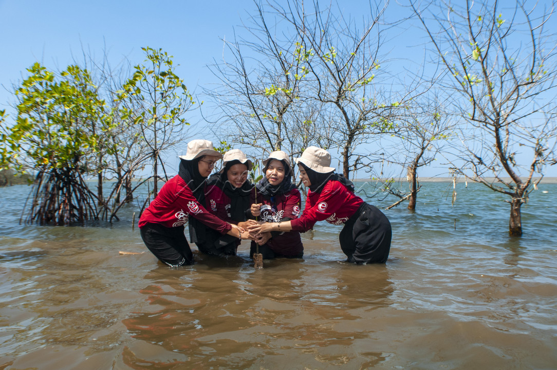 Sejumlah pemudi berfoto di kawasan pesisir Pantai Baros, Kabupaten Bantul, Daerah Istimewa Yogyakarta, sebelum menanam mangrove.