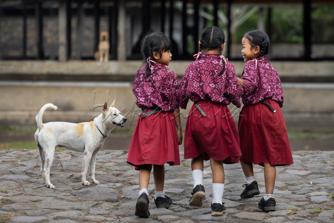Di desa Tenganan, Bali, tampak kecerian dan penuh semangat melalui tiga anak sekolah dasar yang mewakili harapan dan masa depan komunitas mereka. Mengenakan seragam sekolah yang bersih dan rapi. Terlihat gestur langkah kegembiraan dan semangat belajar&nbsp; yang tinggi, menggambarkan antusiasme mereka terhadap masa depan yang cerah. Keceriaan ketiga anak sekolah dasar di Tenganan ini mencerminkan semangat pendidikan yang kuat di desa tersebut, menunjukkan betapa pendidikan tidak hanya sebagai kewajiban tetapi juga sebagai sumber kebahagiaan dan harapan bagi masa depan mereka.