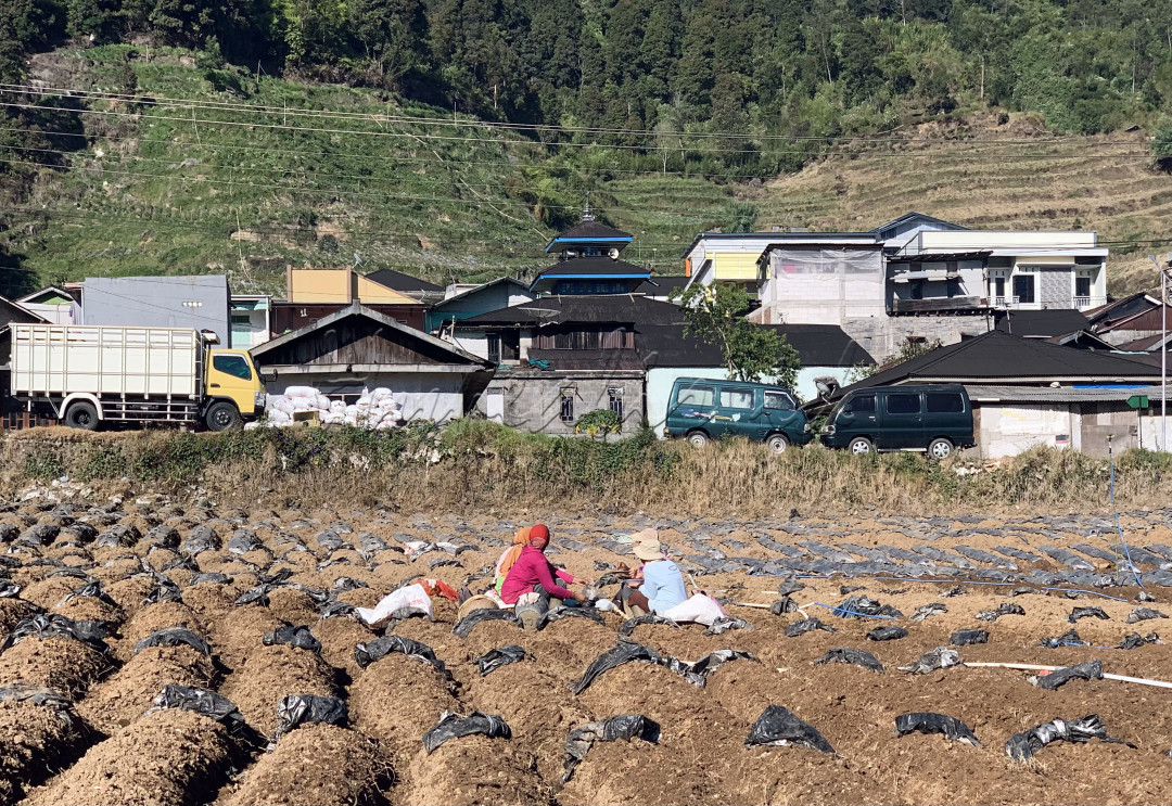 <div style="text-align: justify;">Empat petani sedang beristirahat duduk di luasnya hamparan lahan sambil bercengkarama dan menikmati sarapan agar siap bekerja. Potret petani ditemani dengan latar pemandangan rumah-rumah warga dan perbukitan hijau di belakangnya.</div>