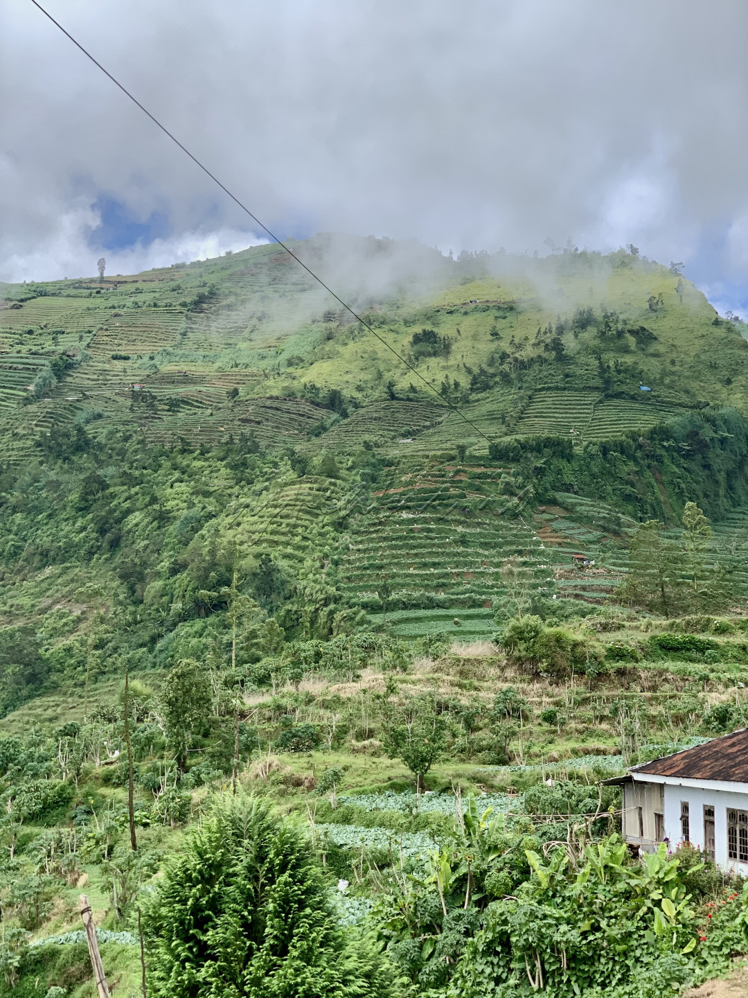 <div style="text-align: justify;">Lereng-lereng bukit yang hijau dan subur tertutup oleh kabut menciptakan suasana tenang di pegunungan. Terasering yang terlihat menandakan kerja keras para petani lokal dalam mengelola lahan di tengah alam yang indah dan menantang.</div>