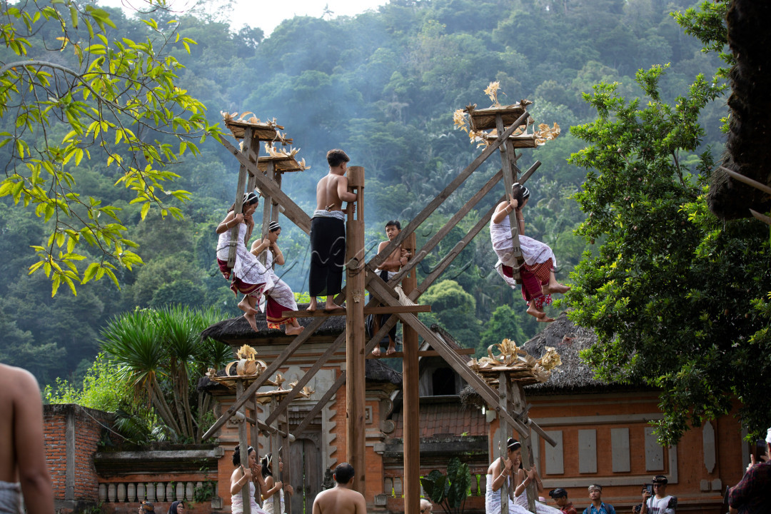 upacara sasih sambah di Tenganan Pegringsingan. Daha meayunan setelah sembahyang dari bukit