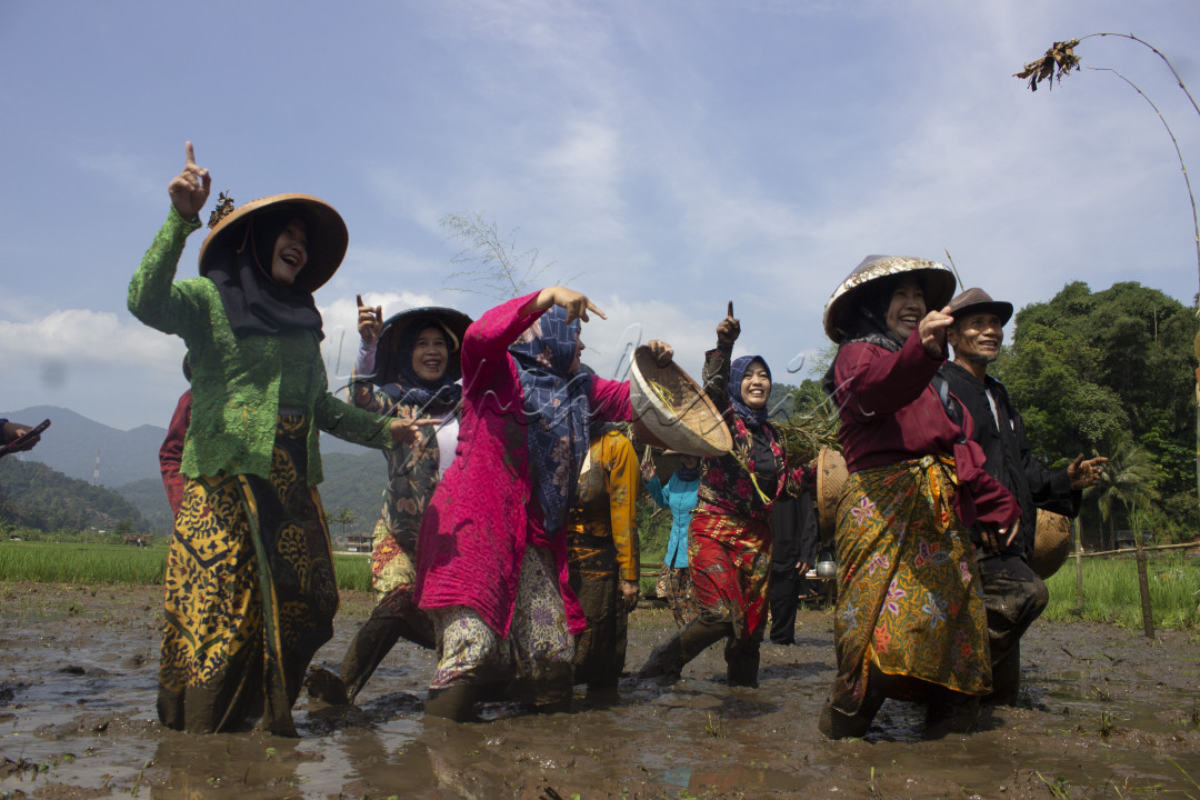 Festival Sawah yang diadakan oleh Karang Taruna Desa Baginda tersebut digelar dalam rangka Hari Jadi Kabupaten Sumedang ke 446 serta ditujukan untuk melestarikan kearifan lokal dan kebudayaan seni sunda.