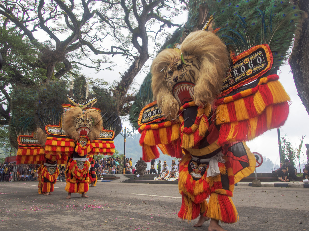 reog merupakan tarian tradisional dari&nbsp;Ponorogo,&nbsp;Jawa Timur&nbsp;dalam arena terbuka yang berfungsi sebagai hiburan rakyat, mengandung unsur&nbsp;magis, penari utama adalah orang berkepala singa dengan hiasan bulu merak, dengan berat topeng mencapai 50&ndash;60&nbsp;kg