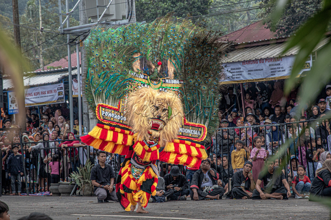 Seni pertunjukan reog Ponorogo, merupakan&nbsp;salah satu tradisi masyarakat Ponorogo yang yang masih hidup dan bertujuan mempererat tali silaturahmi masyarakat Ponorogo. Kesenian yang mulanya bernama &ldquo;Barongan&rdquo; ini, dibawa oleh Ki Ageng Suryongalam yang berasal dari Bali.