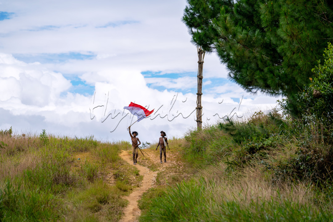 Papua adalah sebuah wilayah&nbsp; Indonesia yang terletak di bagian paling timur Indonesia. Tanah Papua sangat kaya akan kekayaan alam, kesenian dan kebudayaan. Untuk menghasilkan generasi muda Papua yang hebat dan siap membangun bangsa, maka berikanlah hatimu kepada anak Papua, dan pasti mereka akan memberikan kepadamu hatinya. Membangun Papua tidak cukup hanya dengan uang, melainkan harus dengan hati.<br />
&nbsp;