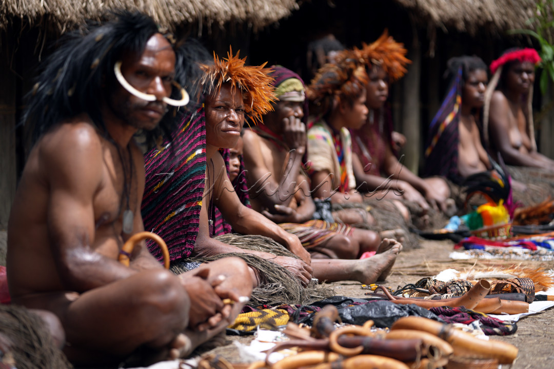 Jika telah sampai ke Wamena, Papua Pegunungan, usahakan untuk mengunjungi Kampung Wisata Suroba, salah satu tempat wisata terbaik di sana. Anda akan langsung disambut hangat dengan keramah tamahan penduduk asli yang tinggal di rumah tradisional Honai. Selain itu, &nbsp;daerah ini masih sangat alami dan tradisional, sehingga, keasrian alamnya dapat langsung anda rasakan.<br />
&nbsp;