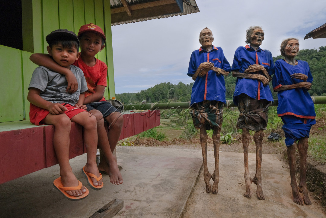Ritual Ma'nene merupakan ritual mengeluarkan jenazah keluarga yang meninggal dari kuburan liang batu untuk dibersihkan dan diganti pakaiannya. Ritual ini biasanya dilakukan setelah masa panen sebagai wujud rasa syukur kepada Sang Pencipta. Ma'nene hanya dilakukan setiap 3-4 tahun sekali pada setiap keluarga di Toraja Utara, Sulsel.