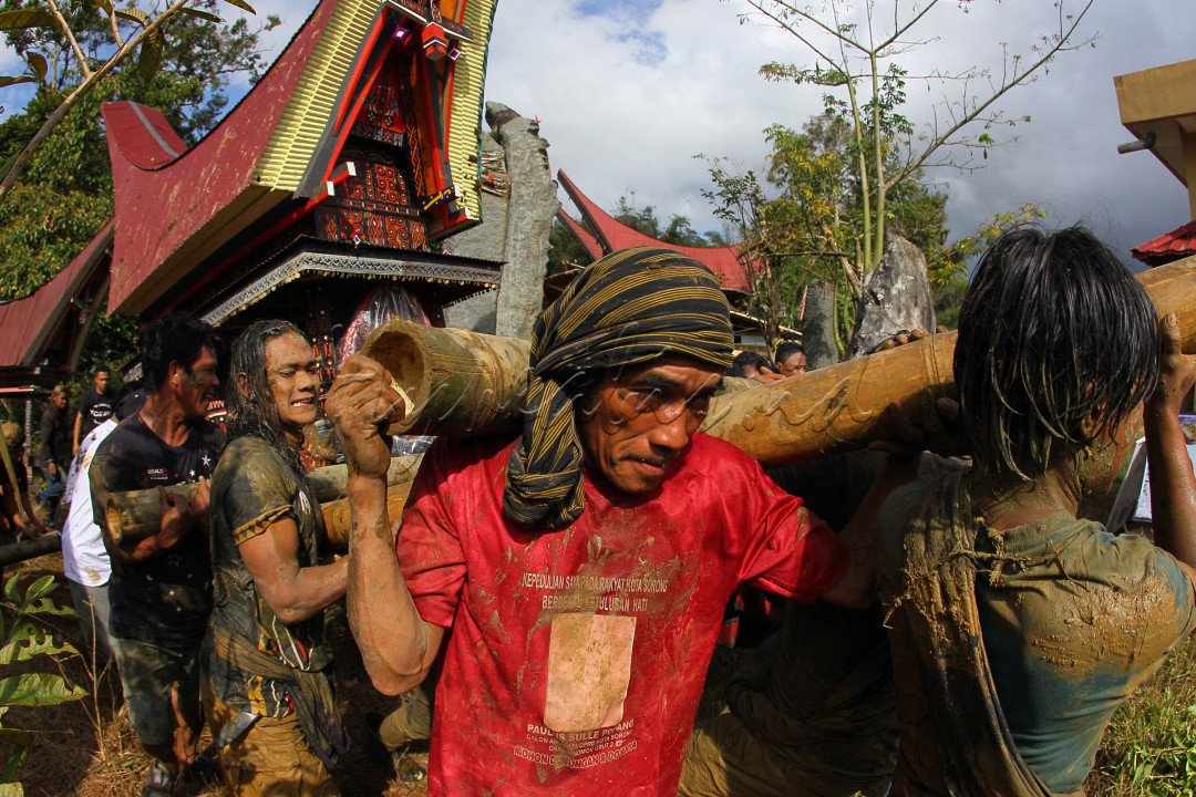 Sejumlah warga saling gotong royong mengangkat Tongkonan (rumah adat Toraja) ukuran kecil yang di atasnya berisi peti jenazah kerabat menuju kuburan (Liang), 27 Juli 2024.&nbsp;<br />
&nbsp;
