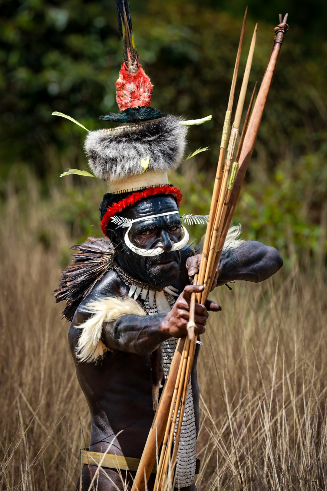 Potrait salah satu suku di Wamena dalam event Festival Budaya Lembah Baliem