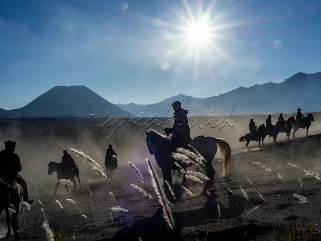 Berkumpulnya beberapa penunggang kuda yang ada di Bromo