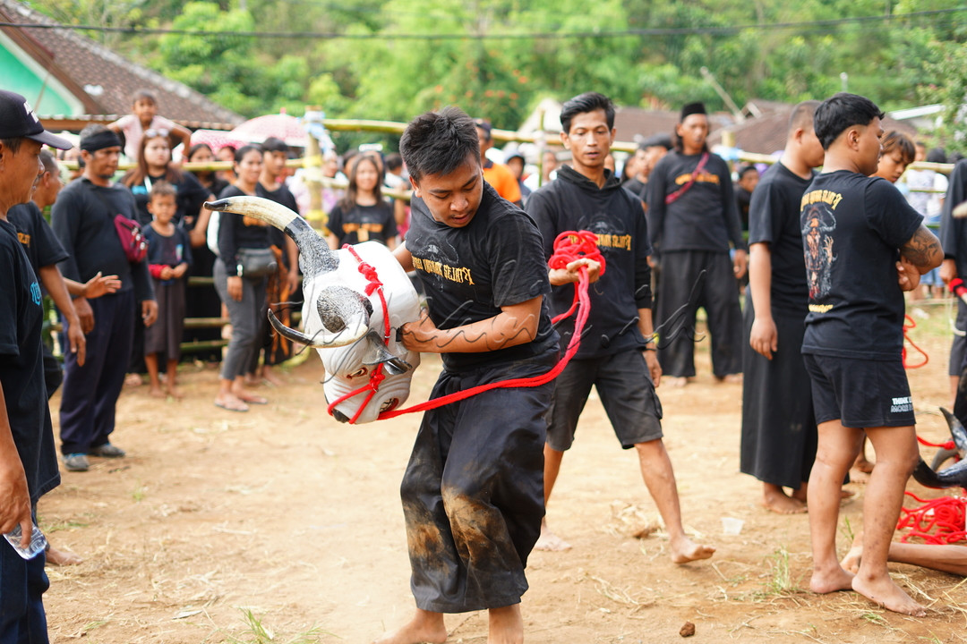 Kesenian Tradisional Bantengan adalah sebuah seni pertunjukan budaya tradisi yang berasal dari Jawa Timur yang menggabungkan unsur sendratari, olah kanuragan, musik, dan syair/mantra yang sangat kental dengan nuansa magis. Permainannya akan semakin menarik apabila telah masuk tahap trans yaitu tahap pemain pemegang kepala Bantengan menjadi kesurupan arwah leluhur Banteng (Dhanyangan)
