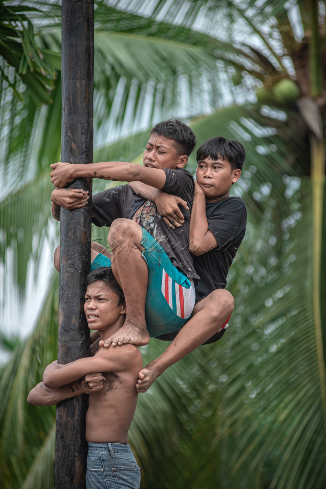 Lomba Panjat pinang, seluruh team saling bergantung kepada teman, untuk bisa mencapai puncak