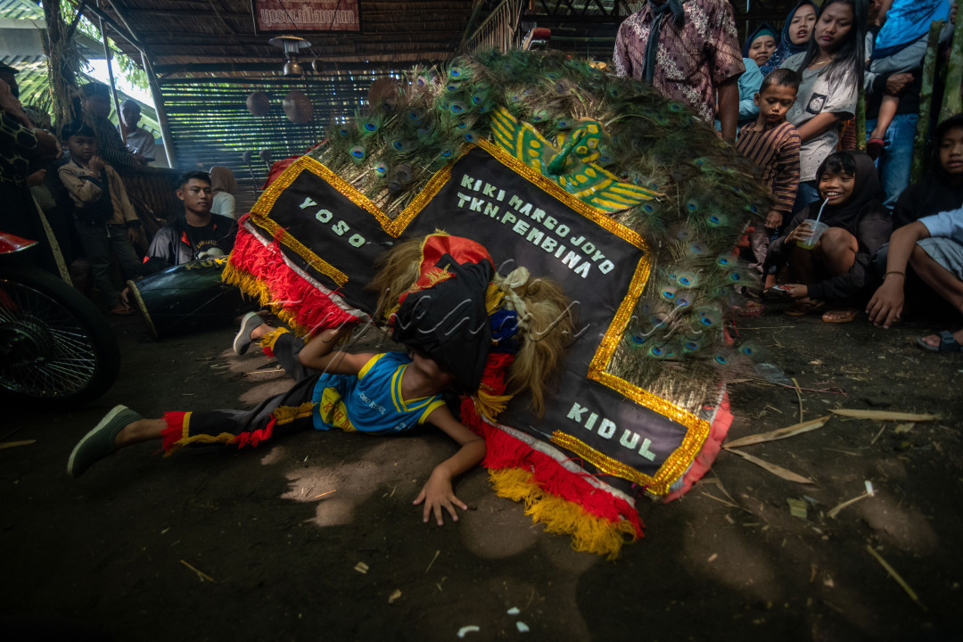 Reog pada umumnya berukuran besar dan dimainkan oleh orang dewasa. Ternyata ada anak kecil asal Kab. Lumajang, Jawa Timur yang jatuh cinta terhadap kesenian ini. Ketertarikannya pada Reog membuat ia semangat mempelajarinya dan bahkan tampil dengan Reog yang berukuran kecil.