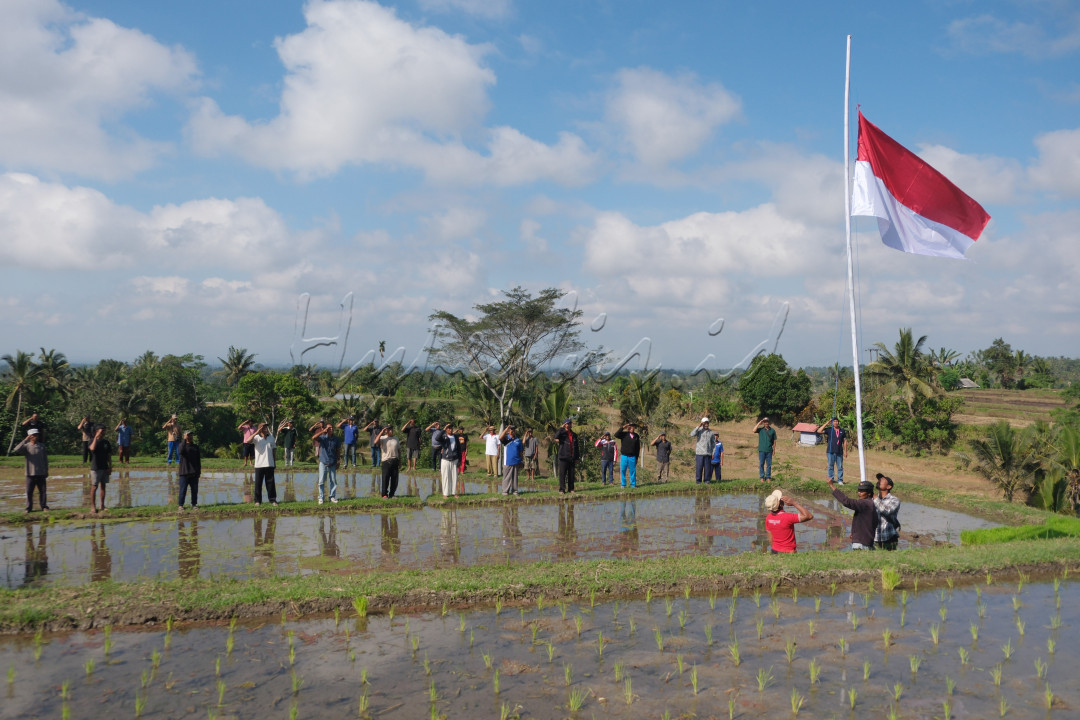 Kelompok tani Somya Pertiwi melakukan penghormatan kepada bendera Merah Putih saat upacara bendera di tengah sawah di Dusun Wongaya Betan, Desa Mangesta, Tabanan, Bali, Sabtu (17/8/2024). Sebanyak 50 petani di dusun tersebut mengikuti upacara bendera memperingati HUT ke-79 Kemerdekaan Republik Indonesia.