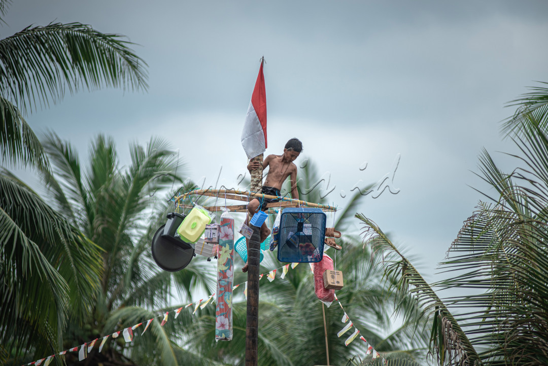 Seorang anak laki-laki berhasil mencapai puncaknya panjat pinang.