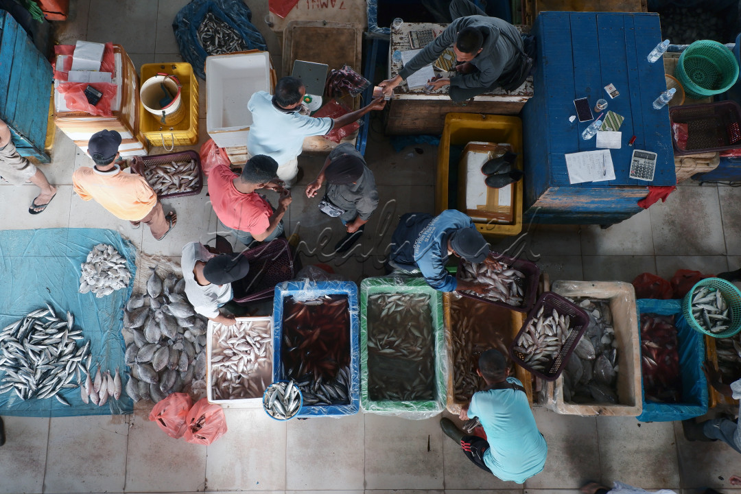 Suasana transaksi ikan yang baru diturunkan dari kapal nelayan Aceh di Pelabuhan Samudra Indonesia Lampulo, KOta Banda Aceh pada (10/02/2024)