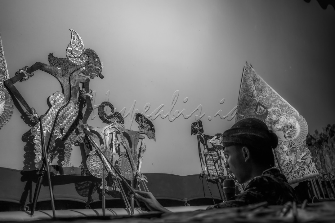 Pementasan wayang yang dilakukan oleh seorang dalang cilik asal Jepara dalam acara hajatan pernikahan
