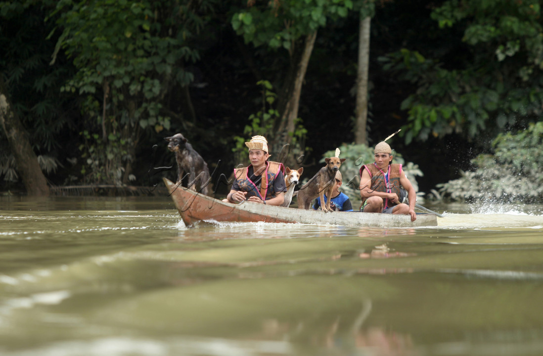 Suku Dayak Kenya yang sedang mencari lokasi untuk berburu melalui sungai dengan perahu ketinting.