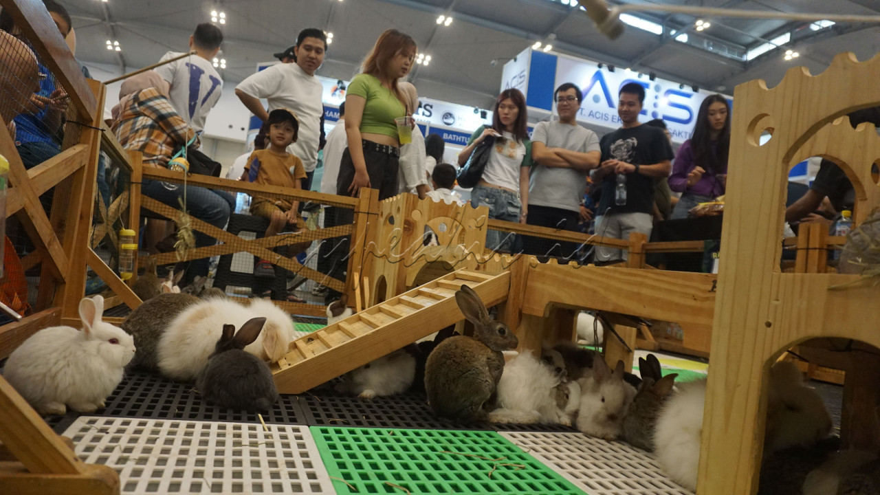 Pameran tersebut menampilkan berbagai hewan peliharaan seperti kelinci, kucing, anjing, burung, hamster, ular, dan hewan air tawar.&nbsp;Sebanyak 258 <em>exhibitor</em>, yang terdiri dari 159 <em>exhibitor</em> lokal dan 63 <em>exhibitor</em> dari 20 negara turut berpartisipasi. Selain itu juga ada 39 komunitas hewan serta 43<i>&nbsp;</i>stan&nbsp;makanan dan makanan.