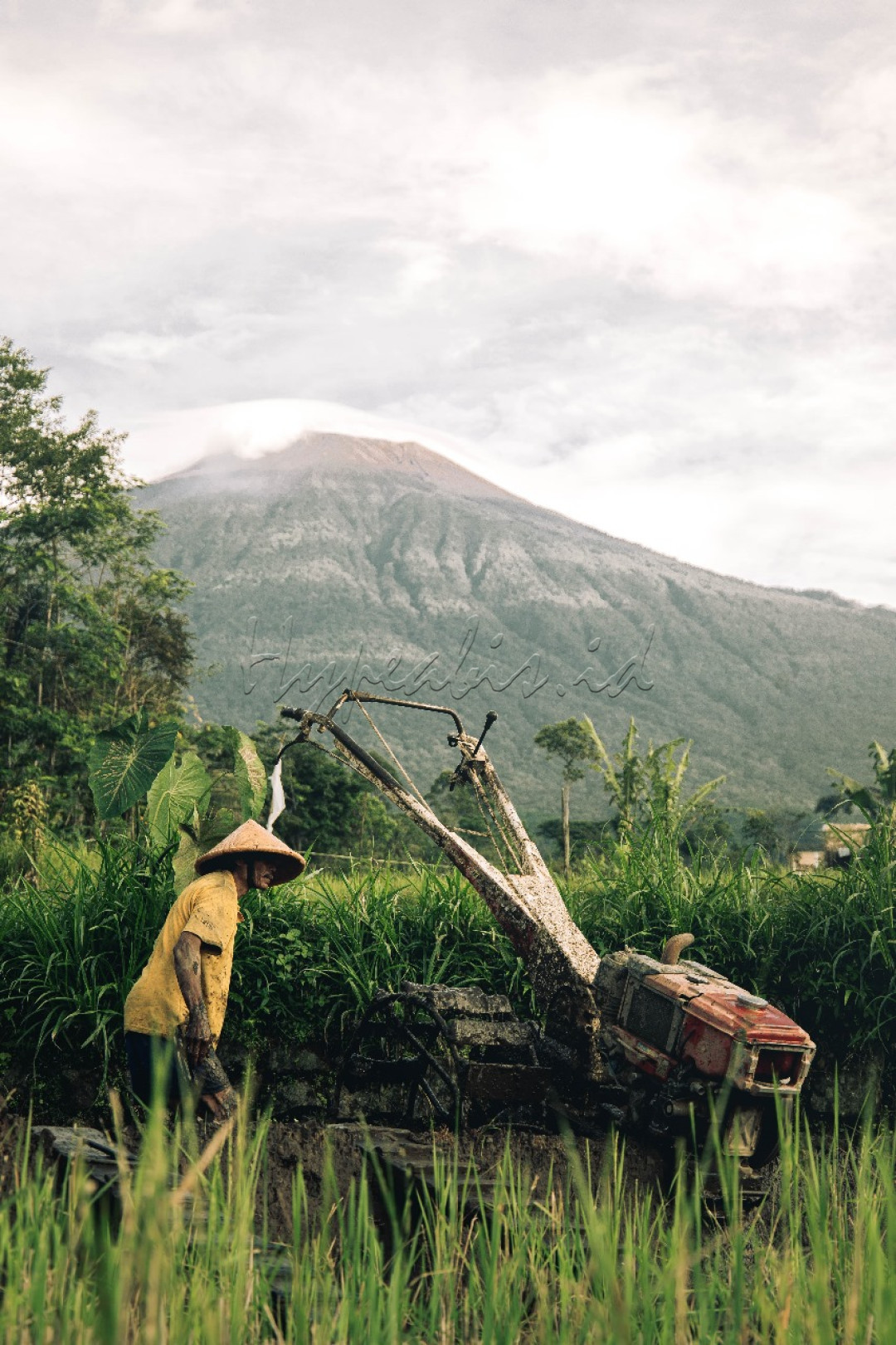 Di bawah langit yang biru, di antara hamparan hijau yang penuh harap, tangan-tangan kokoh ini menabur benih perjuangan. Dari sawah yang luas, mereka bangun negeri dengan keringat dan doa, menghidupkan tanah dengan semangat yang tak pernah padam. Setiap butir padi yang tumbuh, adalah janji untuk masa depan yang lebih baik, untuk anak negeri yang kelak menggapai mimpi
