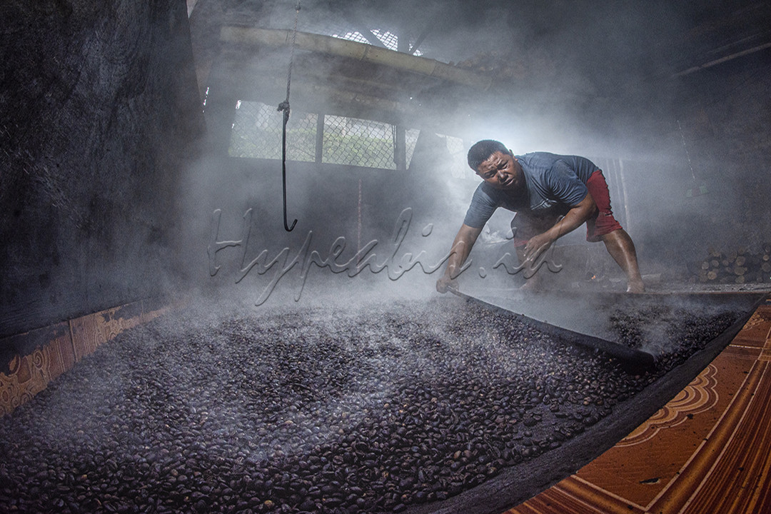 Indonesia merupakan negara produsen utama kopi dunia dengan varian produk yang beragam dan kualitasnya diakui di pasar Internasional. Dibalik ketimpangan antara pertumbuhan konsumsi kopi nasional dengan tingkat produksi, Indonesia sudah memiliki 21 jenis kopi yang dikategorikan sebagai coffee specialty dan memiliki sertifikasi Indikasi Geografi dari Kementrian Hukum dan HAM sebagai produk berkualitas dan spesifik. Kualitas kopi yang baik didukung oleh kebiasaan masyarakat Indonesia untuk minum kopi bahkan sudah menjadi tradisi di beberapa daerah seperti Sumatera, Jawa, dan Bali. Penikmat kopi menikmati kopi tanpa ada batasan waktu, bisa dari pagi hingga malam hari sehingga kedai kopi pun mudah ditemukan dimana-mana, hal ini lah yang menggerakkan para kaum muda unutk berbisnis dibidang ini, baik itu dari segi penanaman bibit kopi , pengolahan biji kopi sampai dengan membuka warung kopi baik itu di toko ataupun pinggir jalan. Peluang bisnis ini mulai marak dan menghidupkan perekonomian masyarakat Indonesia