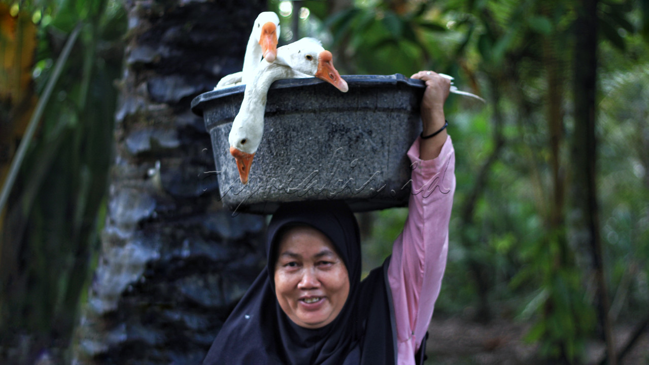 UMKM desa mempunyai peran yang cukup dalam strategi pembangunan ekonomi dalam skala nasional.&nbsp;Selain di perkotaan, UMKM desa juga dipandang mempunyai prospek yang bagus di masa mendatang untuk pemulihan ekonomi.&nbsp;UMKM yang dijalankan di pedesaan ternyata mempunyai berbagai manfaat, terutama untuk perekonomian nasional.