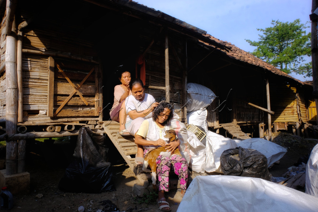 luput dari hingar bingar perkotaan dan kemajuan teknologi. para ibu ibu di kecamatan mojoanyar mojokerto yang berprofesi sebagai pemulung di lokasi TPA Randegan saling bercerita dan dan bercanda sambil petan (&nbsp;mencari&nbsp;uban&nbsp;)