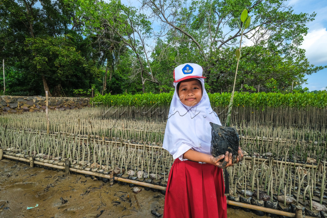 Cinta dan peduli kelestarian mangrove sejak dini demi Indonesia hijau di masa depan
