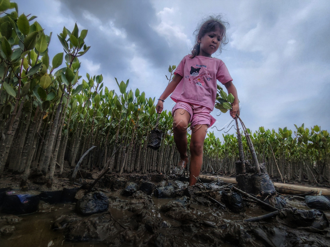 Memilih serta membawa bibit mangrove yang nantinya akan ditanam,demi membangun negeri dalam menjaga,melestarikan dan melindungi bumi kita bersama