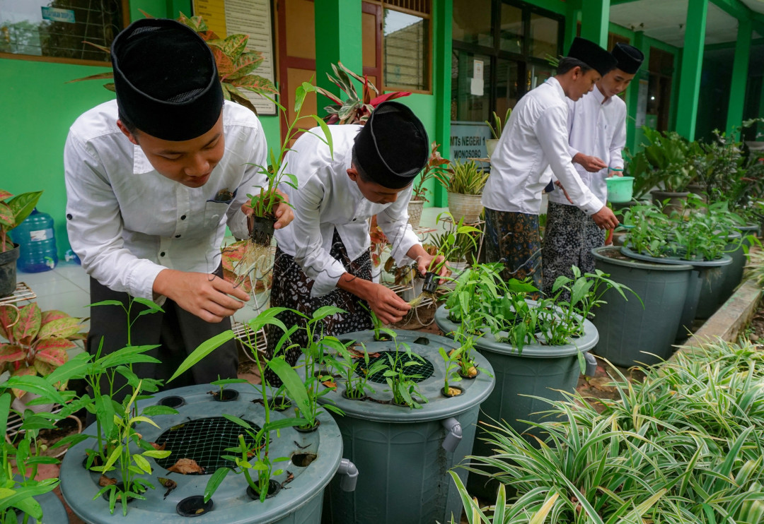 Dalam meningkatkan keterampilan dalam budidaya sayuran dan lele, santri pondok Darussalam Wonosobo mencoba bercocok tanam dan ternak lele secara Budikdamber.&nbsp;Budikdamber merupakan teknik budidaya ikan dan tanaman yang ramah lingkungan dan dapat membantu meningkatkan ketahanan pangan. Selain itu tutup ember yang digunakan untuk ternak lele juga dimanfaatkan untuk menanam sayuran kangkung.&nbsp;