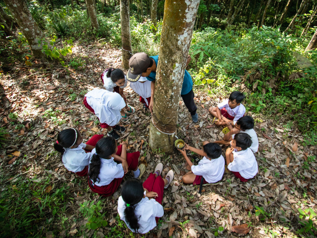 Judul: "Generasi Emas yang Berakar dari Alam"<br />
<br />
Seorang guru SD Negeri Gelang 07 sedang memberikan edukasi tentang manfaat pohon karet di perkebunan karet Desa Gelang, Sumberbaru, Jember - Jawa Timur&nbsp;<br />
<br />
Disinilah mereka belajar tentang manfaat pohon karet untuk kehidupan manusia, selain itu juga mengajarkan tentang pentingnya menjaga keseimbangan serta kelestarian alam dan lingkungan. Mari kita bersama-sama membangun generasi emas yang cinta alam dan peduli lingkungan.