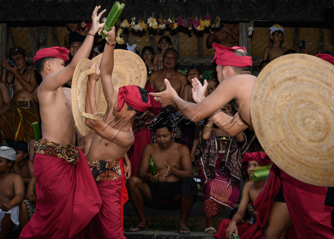 Tradisi unik khas Bali yang memadukan keberanian dan budaya menjadi daya tarik wisata sekaligus upaya melestarikan warisan leluhur.