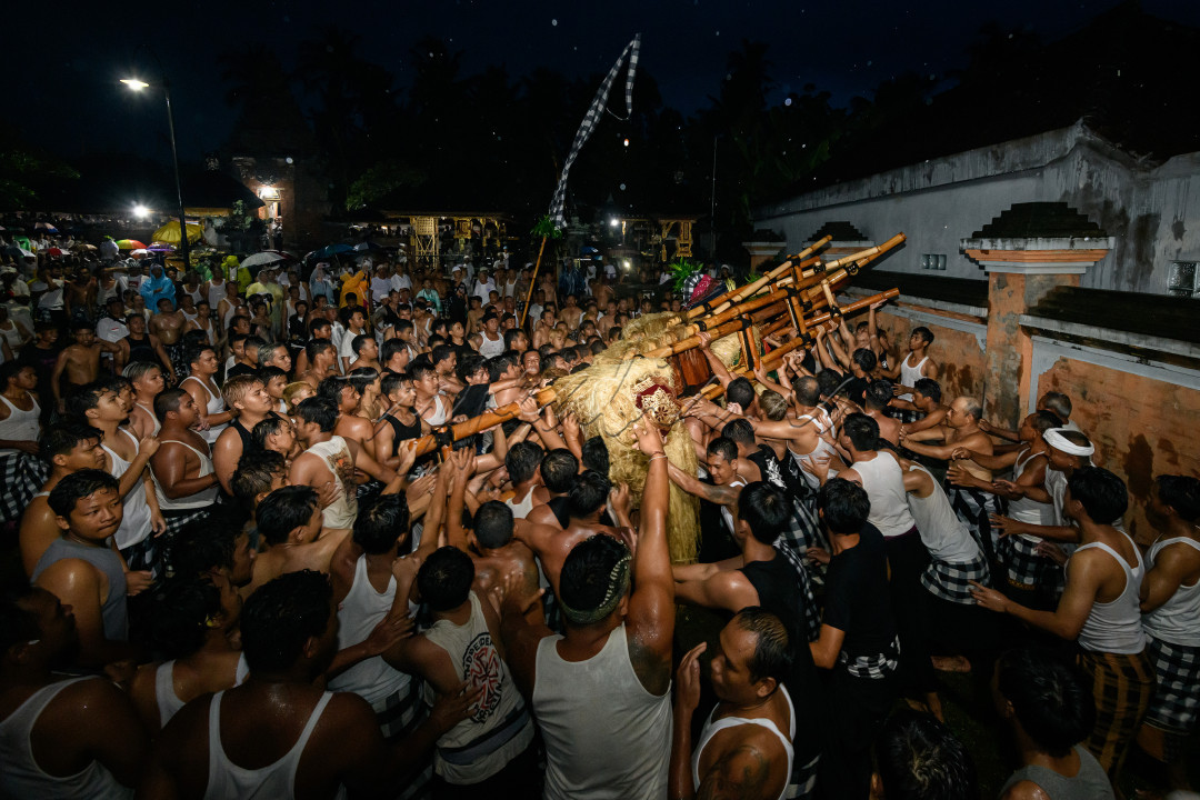 Tradisi yang penuh semangat yang menggambarkan kekuatan dan keindahan budaya Bali, dimana seni, spiritualitas dan kekompakan masyarakat berpadu menjadi satu.