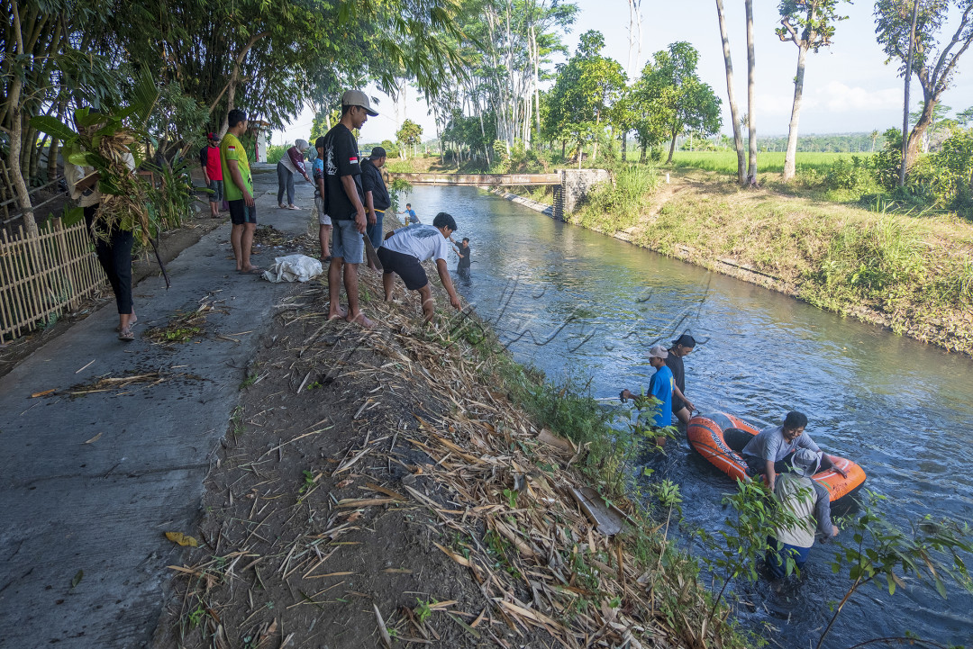 Karang taruna bergerak untuk membangun desa dengan salah satu kegiatanya gotong royong bersihkan aliran sungai dengan tujuan bebas dari banjir dan membuka tempat wisata desa disepanjang aliran sungai yang bisa dimanfaatkan warga untuk berwisata dengan keluarga