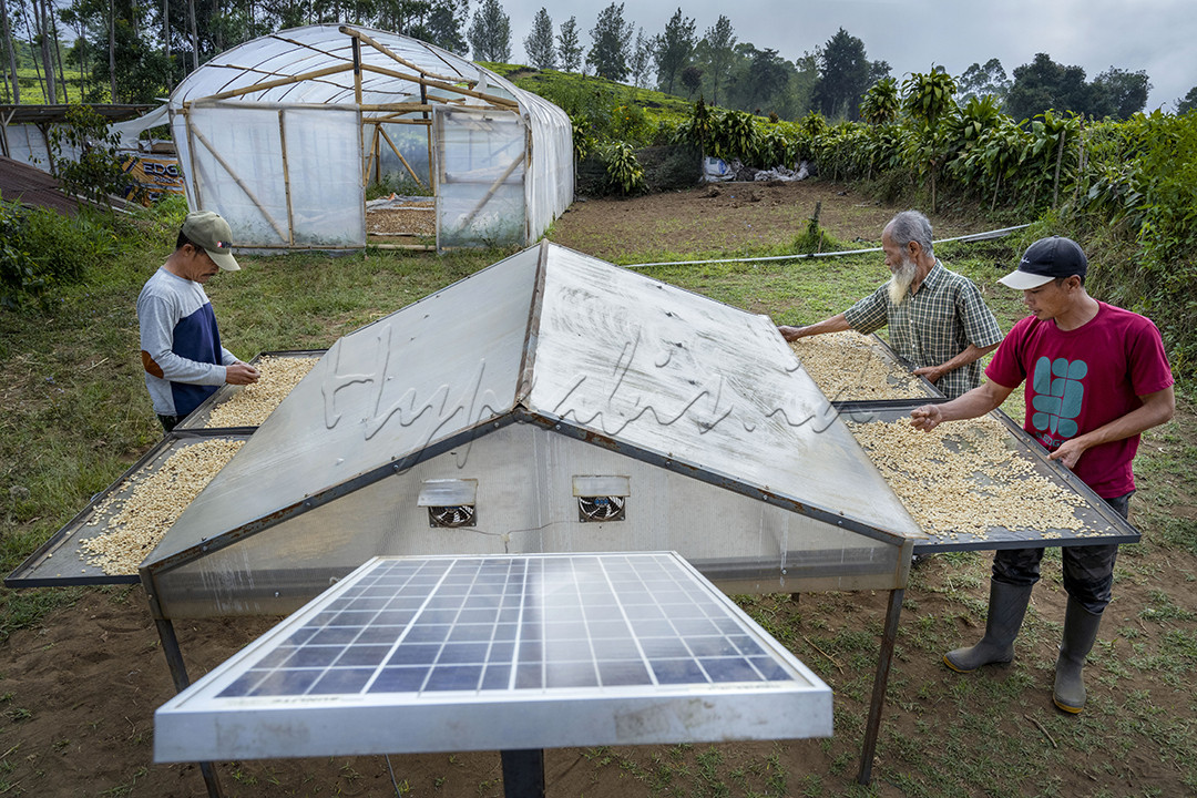 Diawal tahun 2024, para petani kopi di Desa Wanasuka, kecamatan pengalengan, Kabupaten Bandung memanfaatkan teknologi Internet of Things (IOT) untuk pertama kalinya oleh sekolah Tani Indonesia. Penggunaan IOT pada panel surya membantu dan memudahkan para petani kopi dalam mengatur suhu panas guna penjemuran biji kopi dengan kualitas terbaik.