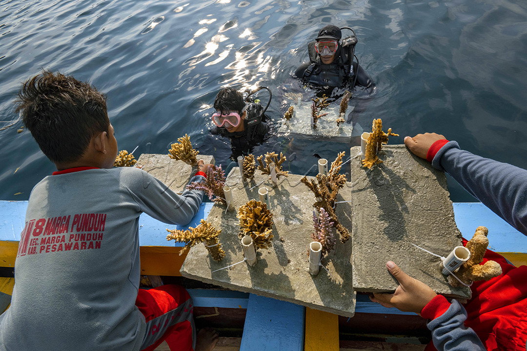 Transplantasi Terumbu karang merupakan salah satu upaya rehabilitasi terumbu karang yang harus dilestarikan. Dengan diajarkan dan dikenalkannya kegiatan ini agar para siswa sekolah dasar mengerti tentang terumbu karang sebagai habitat rumah ikan.