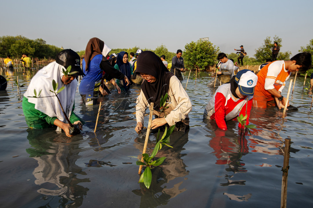 Gotong Royong Menanam Mangrove di Gunung Anyar Surabaya, merupakan contoh yang sangat baik tentang bagaimana kolaborasi masyarakat dapat berkontribusi terhadap perlindungan dan berkelanjutan lingkungan. Dengan bekerjasama, warga setempat, LSM dan Pemerintah dapat membantu melestarikan ekosistem Mangrove, Melindungi garis pantai, dan mengatasi perubahan iklim dengan cara yang bermakna