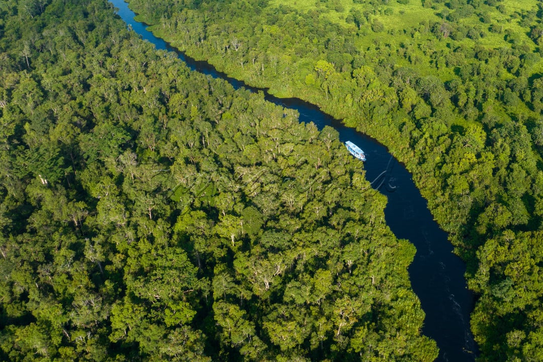 Taman Nasional Tj Puting merupakan salah satu destinasi wisata alam yang sangat ramai dikunjungi oleh wisatawan lokal maupun mancanegera.