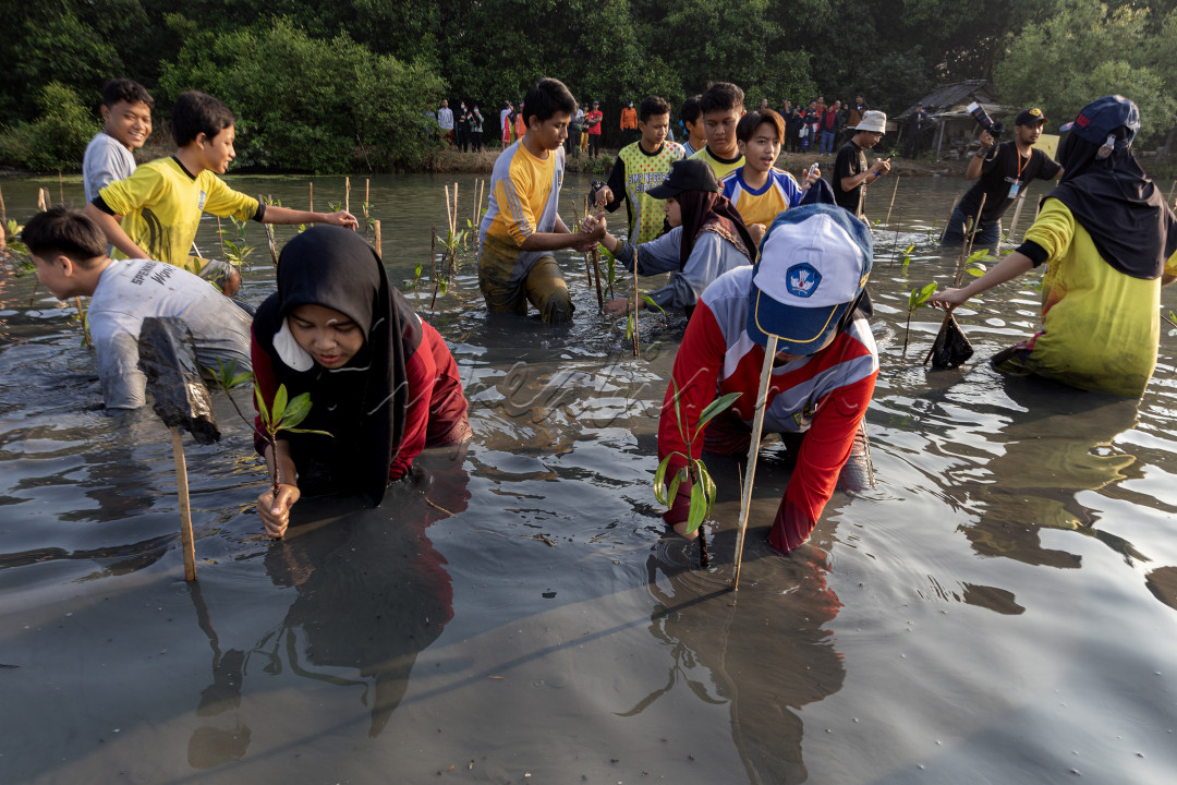 Program menanam mangrove sering kali melibatkan masyarakat lokal, yang tidak hanya bertindak sebagai pelaksana tetapi juga sebagai penerima manfaat dari keberadaan hutan mangrove. Ini memberikan peluang ekonomi melalui pariwisata ekologi, pengelolaan sumber daya alam, atau hasil laut yang berkelanjutan.<br />
Melalui kegiatan menanam mangrove, kita juga mengajarkan nilai-nilai pelestarian lingkungan kepada generasi muda. Ini membantu membentuk kesadaran dan tanggung jawab mereka terhadap alam dan keberlanjutan bumi.