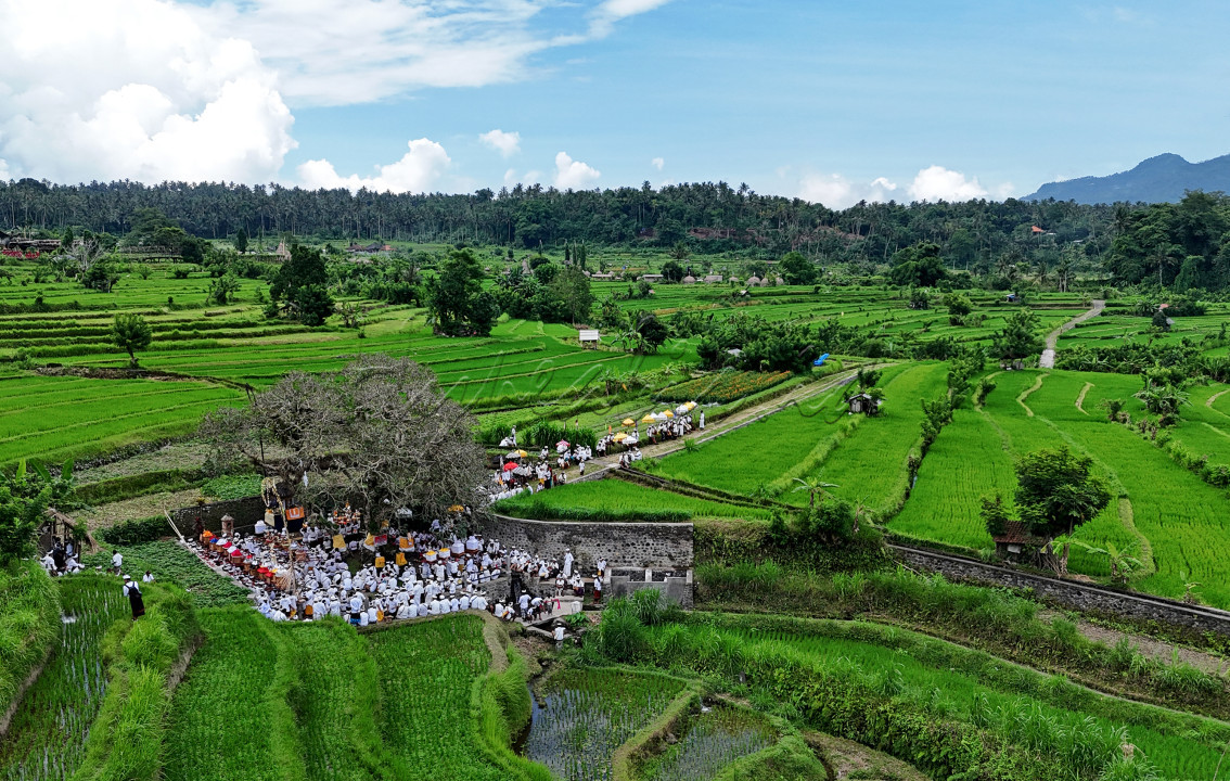 Masyarakat di Bali masih terus menjaga berbagai tradisi yang tujuannya berterima kasih pada alam.