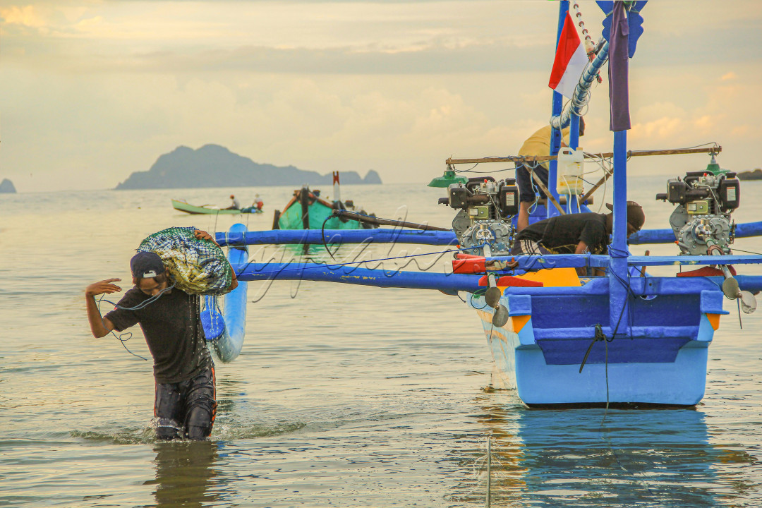 kehidupan nelayan saat pagi hari yaitu pulang melaut dengan membawa hasil dari memancing semalaman
