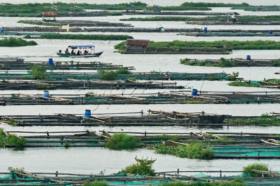 Budidaya ikan dalam karamba apung di Waduk Cengklik sangat membantu perekonomian masyarakat disekitaran waduk.
