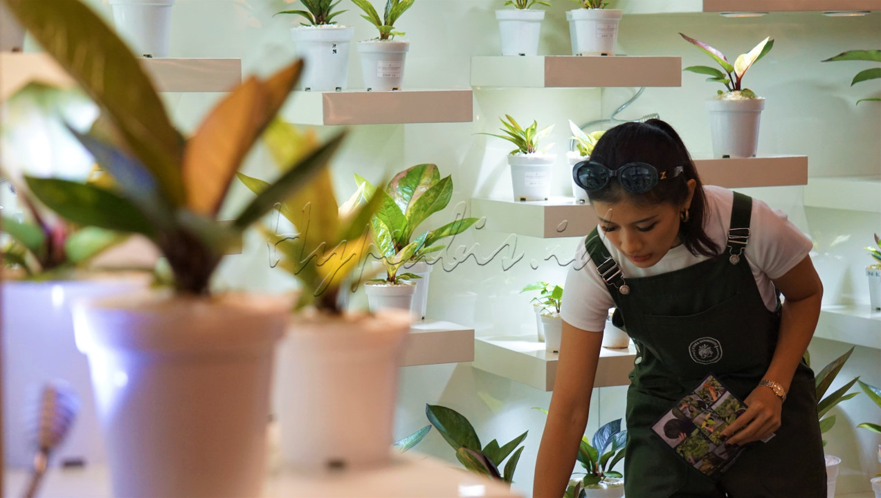 Peserta pameran menata tanaman hias yang dijual pada <em>Floriculture Indonesia International Expo 2024</em> di ICE BSD, Kabupaten Tangerang, Banten, Jumat (6/12/2024).&nbsp;Pameran tersebut mengusung tema&nbsp;<em>Evolutionary and Revolutionary Elegance: The Beauty of Genetic Diversity in Floriculture</em> yang bertujuan&nbsp;untuk meningkatkan potensi besar florikultura Indonesia dan juga mendorong inovasi dalam industri ini.