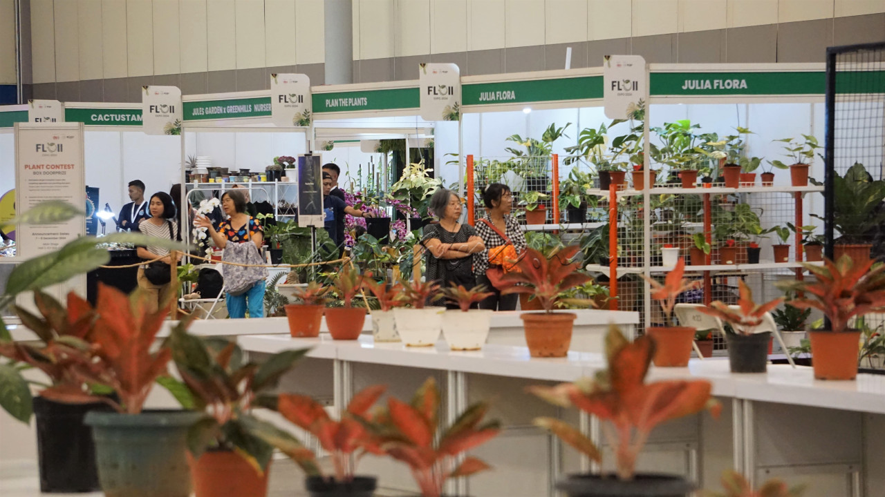 GenHype dapat berburu tanaman hias pada pameran yang diselenggarakan hingga 8 Desember 2024 tersebut dengan&nbsp;tiket&nbsp;Rp35.000.&nbsp;Jadi tunggu apalagi...!<br />
<br />
Editor : Yayus Yuswoprihanto