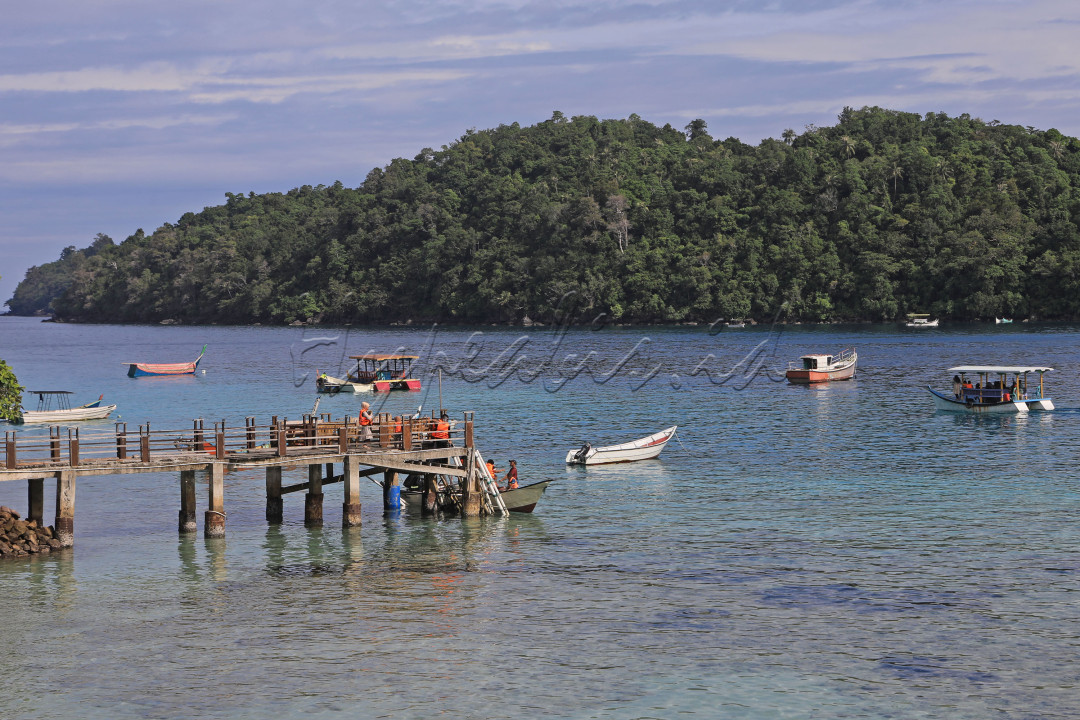 Pulau Rubiah diambil dari nama seorang pemuka agama bernama Ummi Sarah Rubiah. Berbagai aktivitas dapat dilakukan oleh para wisatawan di tempat tersebut seperti <em>snorkeling</em>, <em>diving</em>, bahkan bisa menyewa kapal untuk melihat lumba-lumba.<br />
&nbsp;