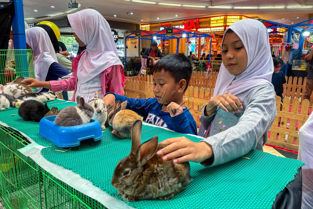 Sejumlah pengunjung melihat hewan piaraan yang dipamerkan pada ajang Pet Junction di Mall Cibubur Juction, Jakarta, Selasa, (13/5/2025). Pameran yang dijadwalkan berlangsung hingga 25 Mei 2025 tersebut juga menampilkan aneka perlombaan, wahana interaksi dengan hewan, dan edukasi terkait dengan hewan peliharaan bagi masyarakat.