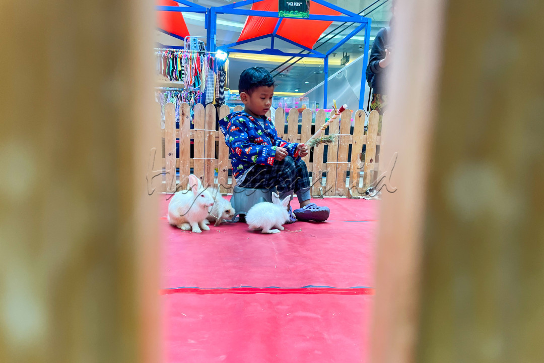 Acara tersebut memberikan kesempatan bagi para penggemar untuk merayakan kecintaan mereka terhadap hewan piaraan dan terhubung dengan individu-individu yang mempunyai minat serupa.<br />
&nbsp;