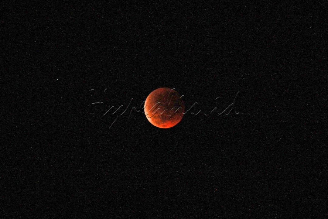 Pada momen ini, bulan tampak memancarkan cahaya merah tembaga, dengan puncak gerhana diperkirakan terjadi sekitar pukul 01.11 WIB saat bulan berada di ketinggian 31&deg;&ndash;39&deg; di langit barat hingga barat daya. Gerhana bulan total kali ini memiliki durasi cukup panjang, yakni 1 jam 22 menit, dan dapat disaksikan di sebagian besar wilayah dunia, termasuk Asia, Australia, Afrika, hingga Eropa bagian timur.&nbsp;