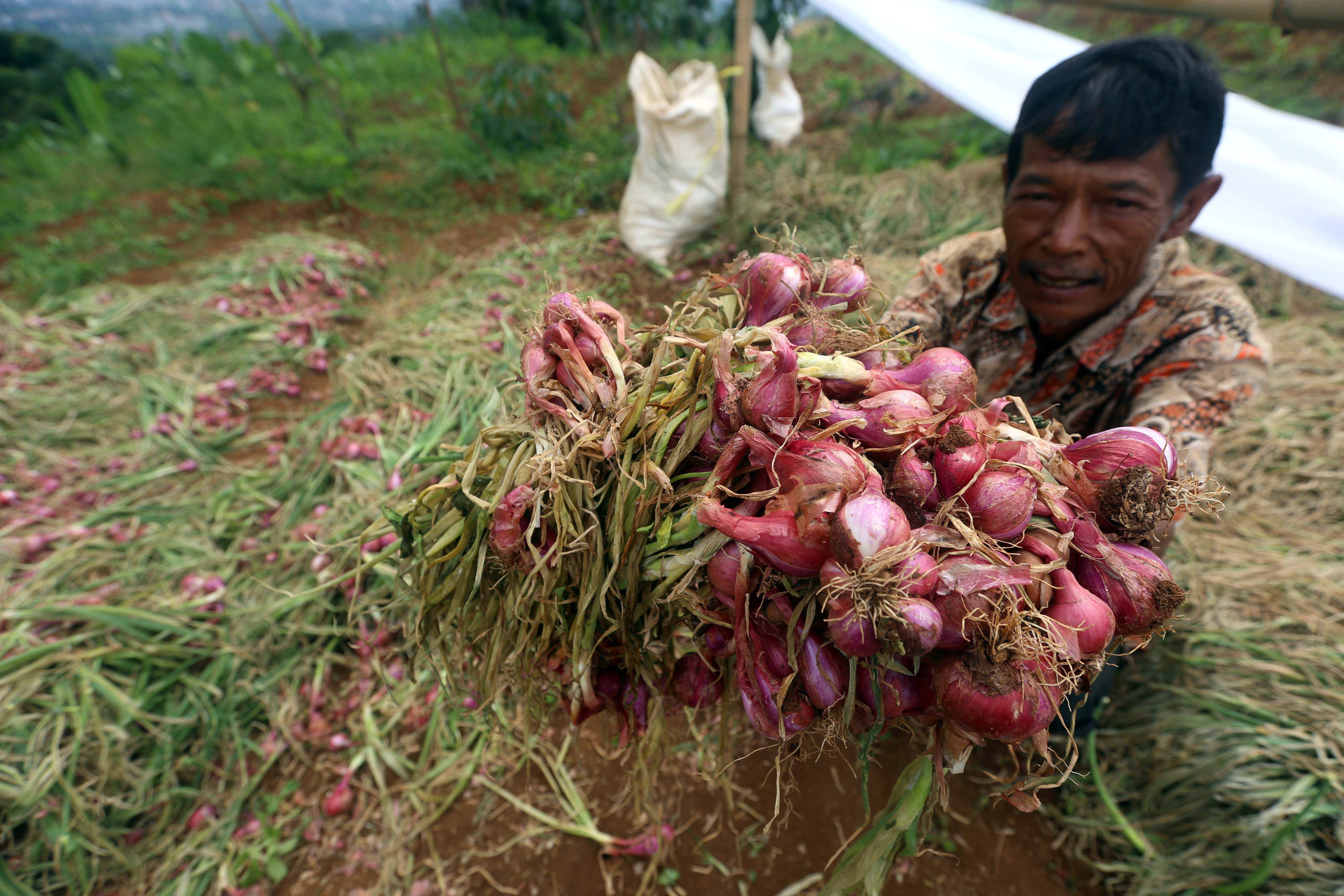 Produk pertanian yang menjadi unggulan Cimenyan&nbsp;adalah&nbsp;bawang merah.