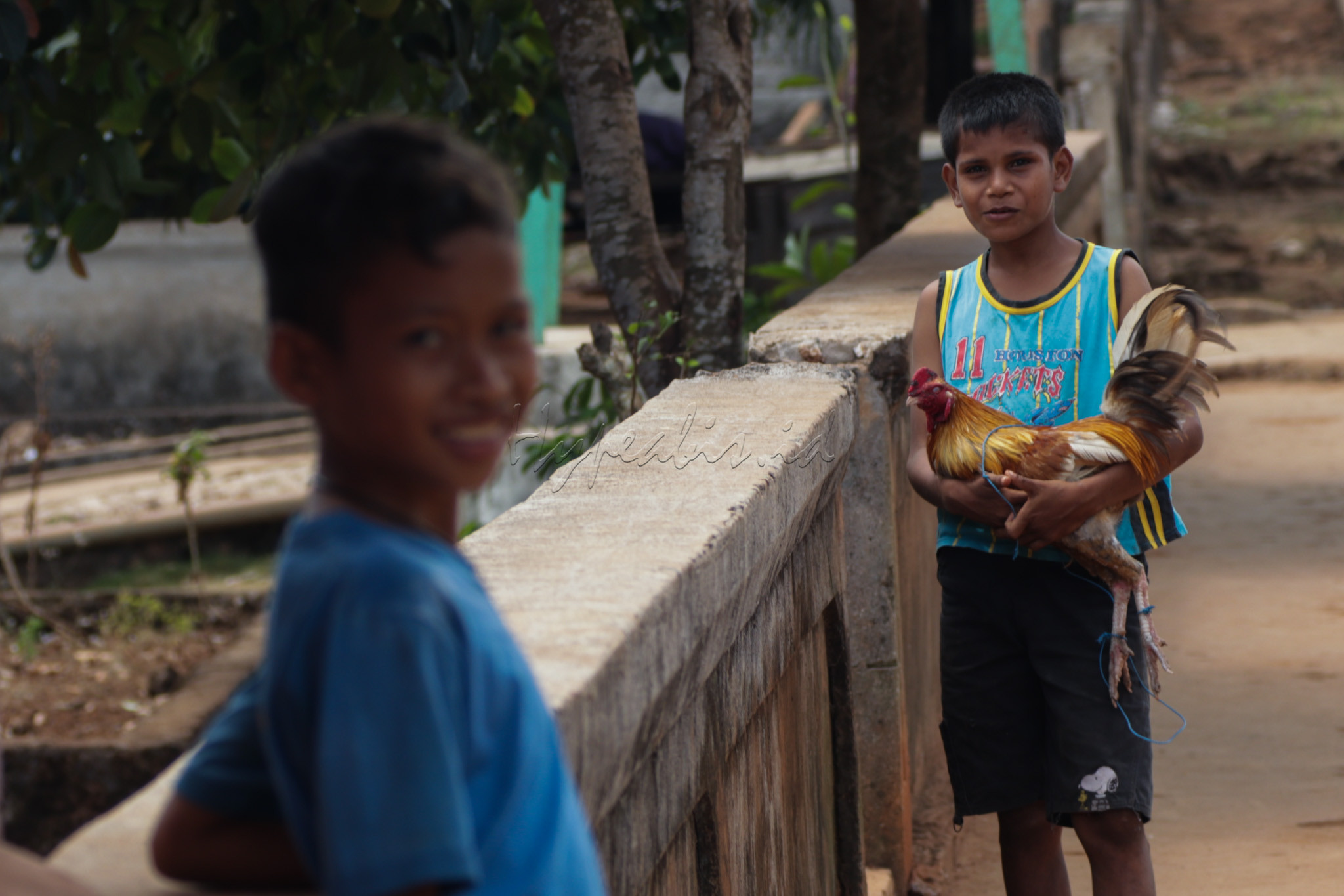 Bermain dengan membawa ayam menjadi hal yang biasa bagi anak-anak di Saumlaki.